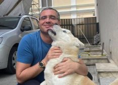 frankdavid1, 53 years old, Man, Livingston, United Kingdom